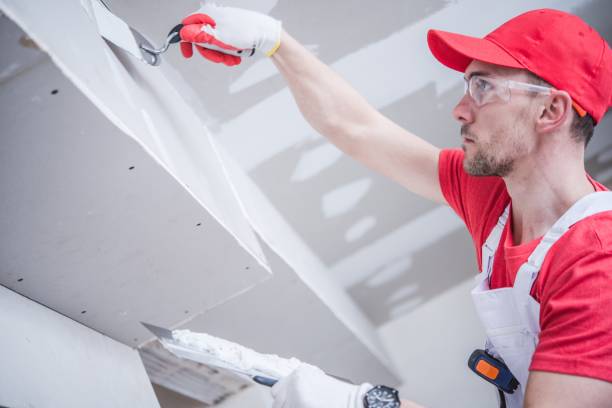 Best Water-Damaged Drywall Repair  in Powhatan Point, OH